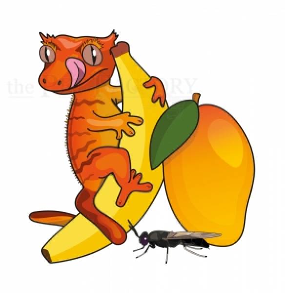 Fruit and Bug 2000 g